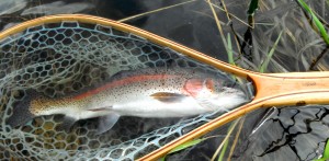 Methow Bow