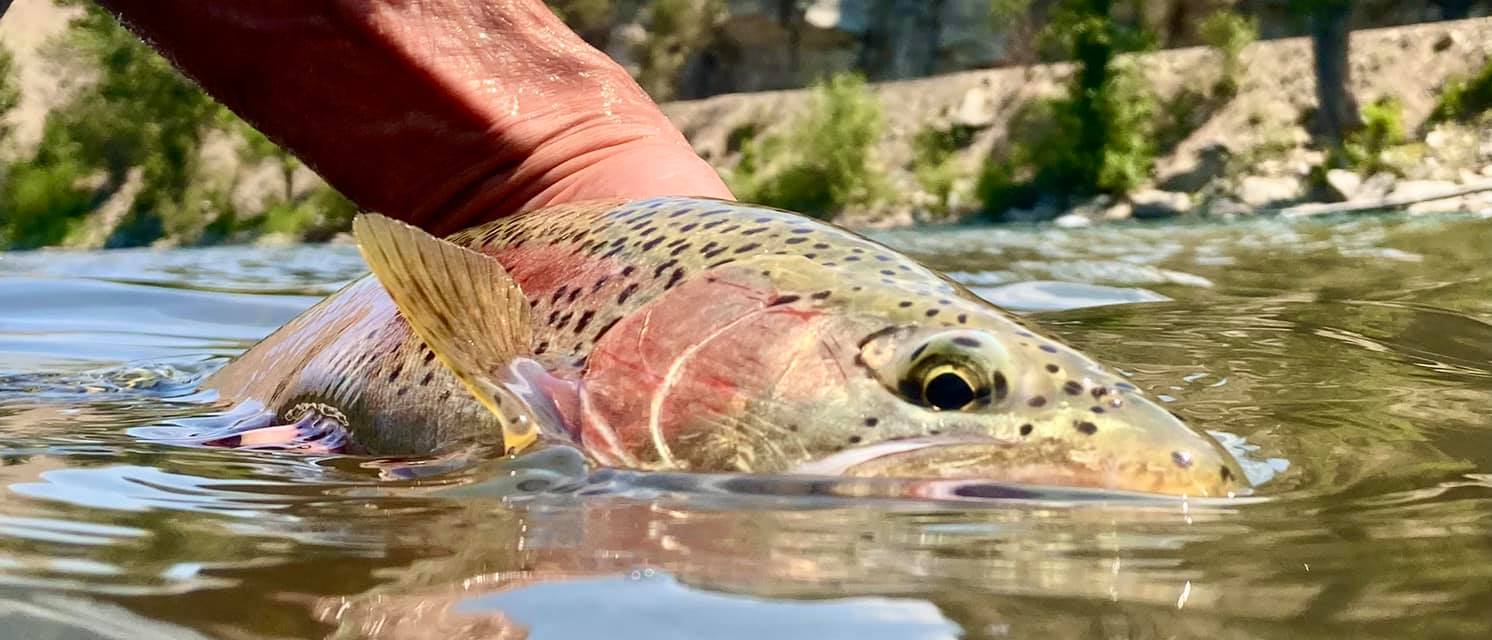 Varden Lake | Methow Fishing Adventures